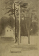 Деревья. Бум., карандаш, чернила.  35x53, 1981