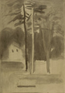 Деревья. Бум., карандаш, чернила. 35x53, 1981